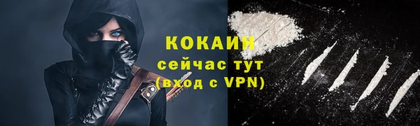 не бодяженный Бородино