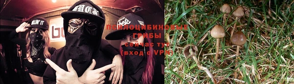 не бодяженный Бородино