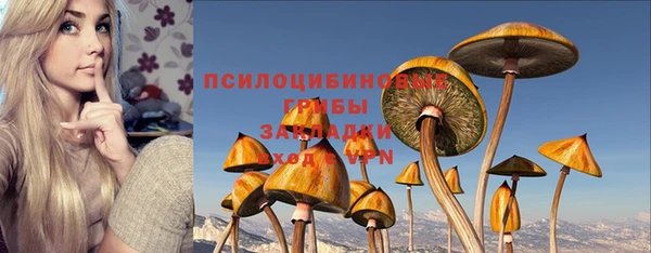 не бодяженный Бородино